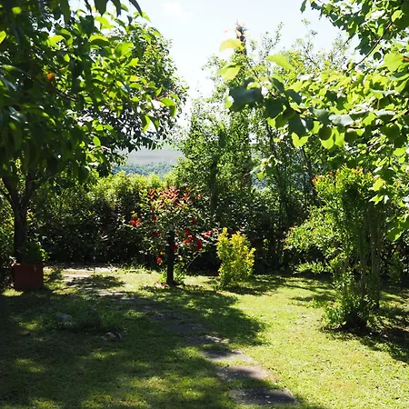 Casa Vio Appartement