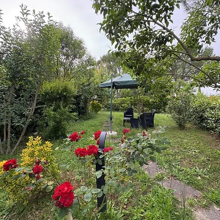 Casa Vio Appartement