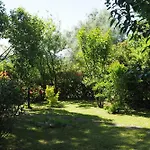 Апартаменты Casa Vio *
