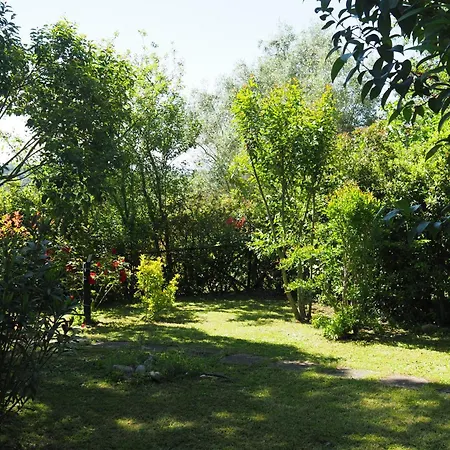 Apartmán Casa Vio *