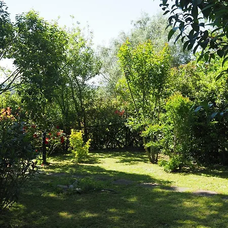 Apartment Casa Vio *