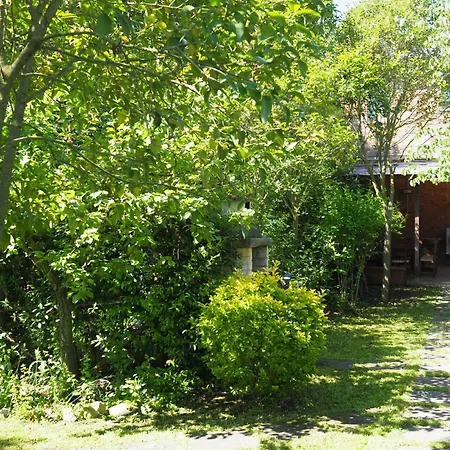 Casa Vio Ашано