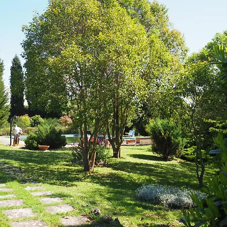 Casa Vio Apartmán