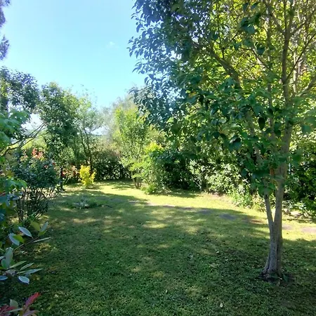 Casa Vio *