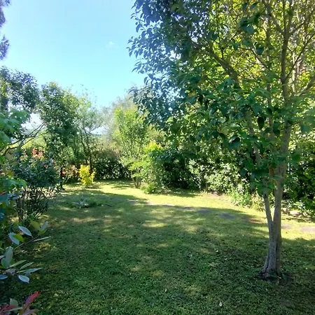 Casa Vio *