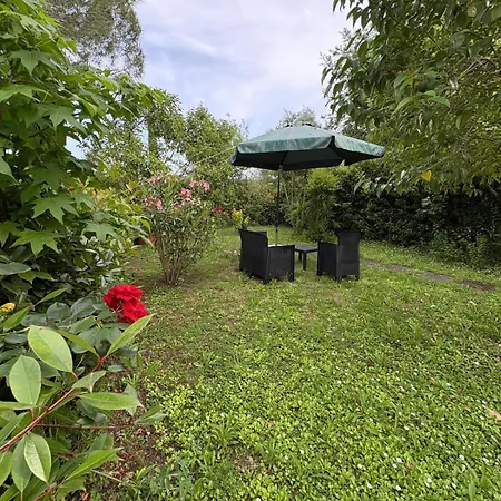 Casa Vio Apartment