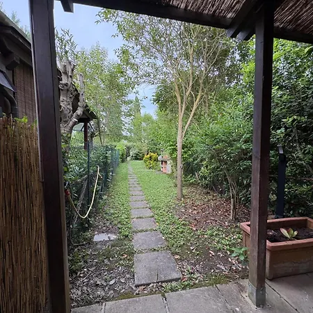 Casa Vio *