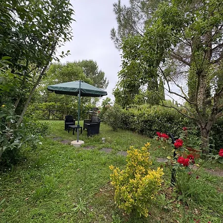 Casa Vio Apartment Asciano